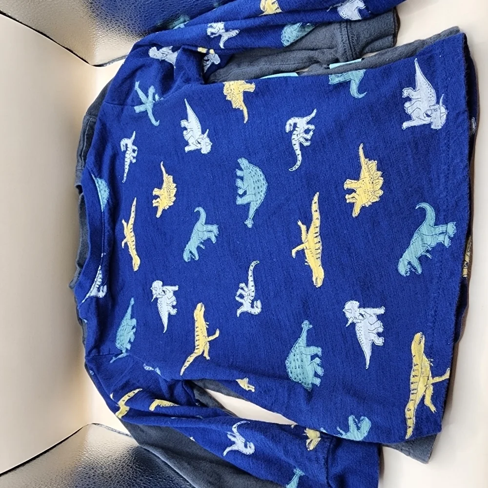 Carter's 3T Dinosaur Long Sleeve Shirts Lot Toddler Child Blue Gray